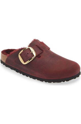 Boston Big Buckle Genuine Shearling Lined Clog