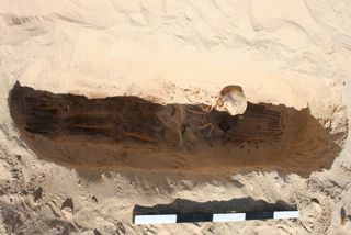 mummified male skeleton from ancient egypt buried with a to ring