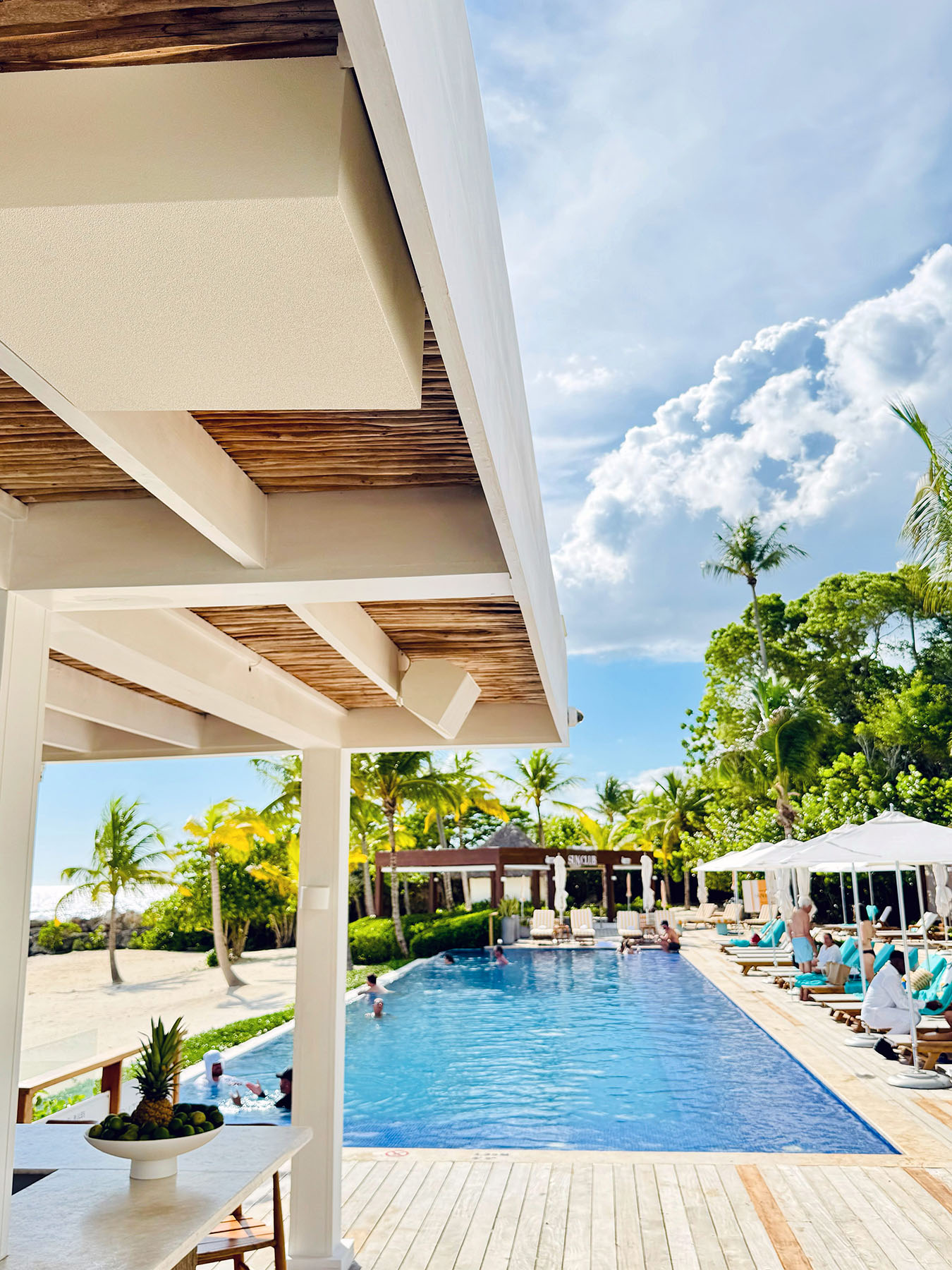 Integrator SVL partnered with distributor Wholestage to deliver an L-Acoustics audio solution that was sonically and aesthetically suited to Minitas Beach Club
