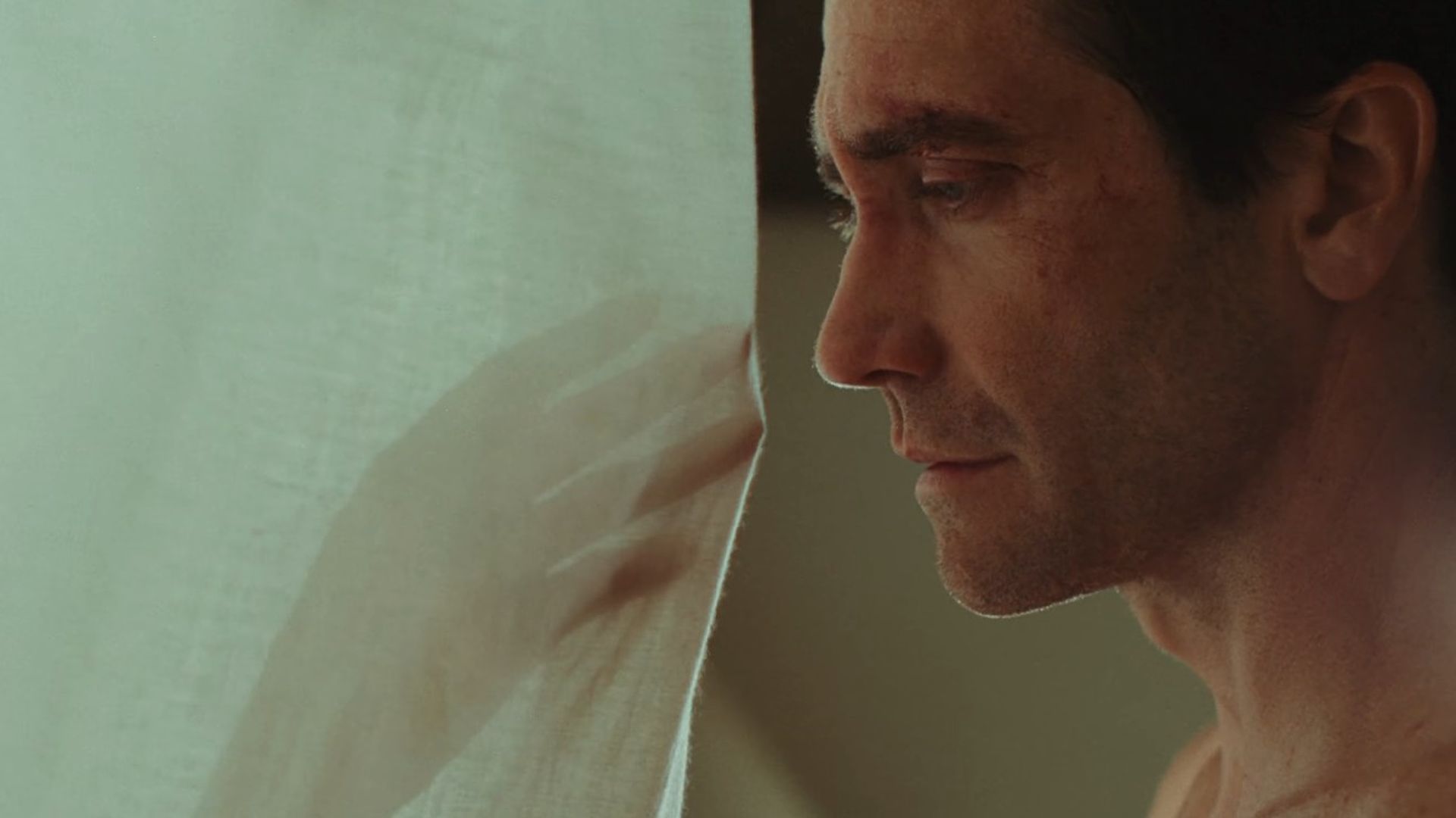 Jake Gyllenhaal in Remain