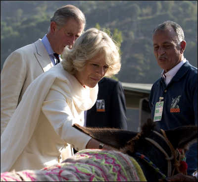 &amp;#148;Duchess
