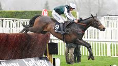 L&rsquo;Homme Presse CHELTENHAM, ENGLAND - MARCH 16: Charlie Deutsch on L'Homme Presse clear the last to win the Brown Advisory Novices' Chase race during day two of Cheltenham Festival 2022 at Cheltenham Racecourse on March 16, 2022 in Cheltenham, England. (Photo by Mike Hewitt/Getty Images)