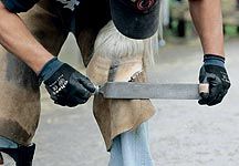 barefoot-trimming.jpg