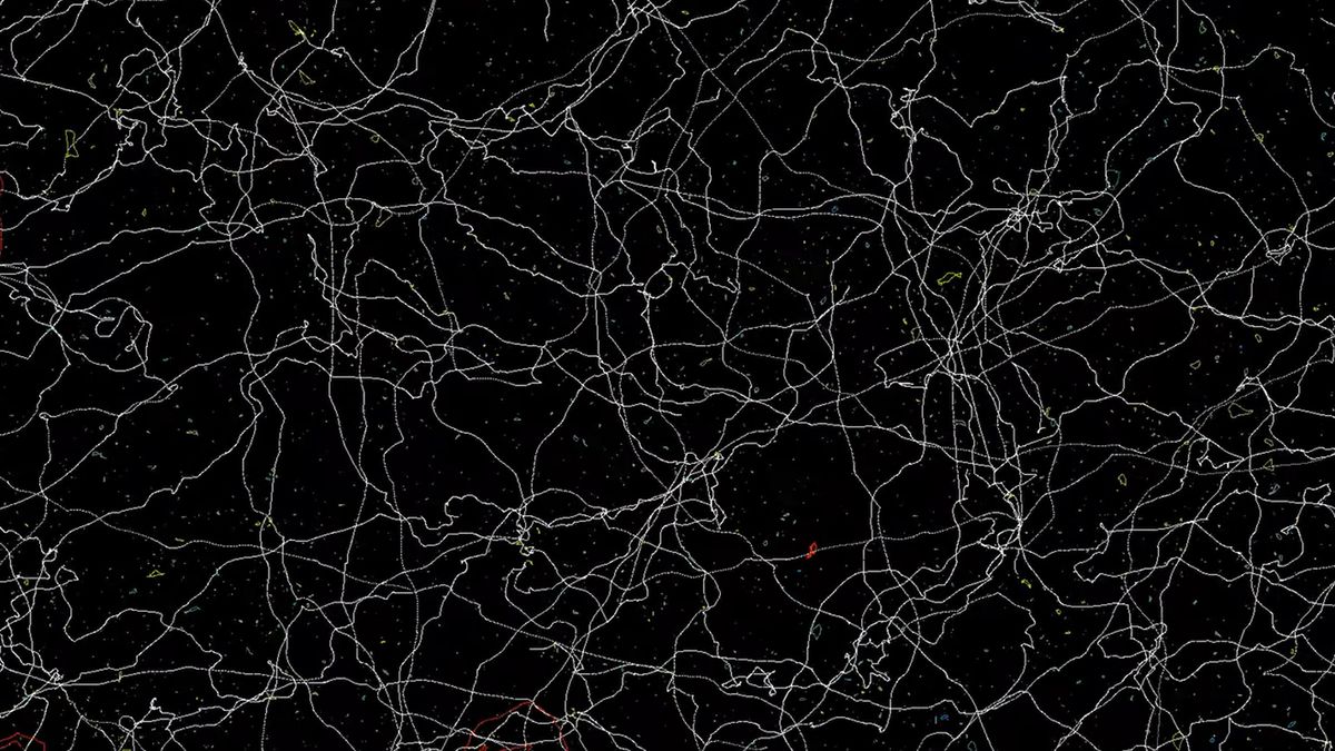 Les cordes cosmiques peuvent se briser – et quand elles le font, elles ébranlent l’univers