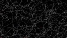 Numerical simulation of cosmic strings.