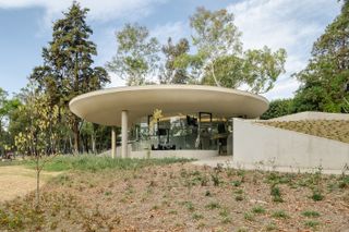 scenic garden in mexico city, greenery and built structure with glazing pavilion