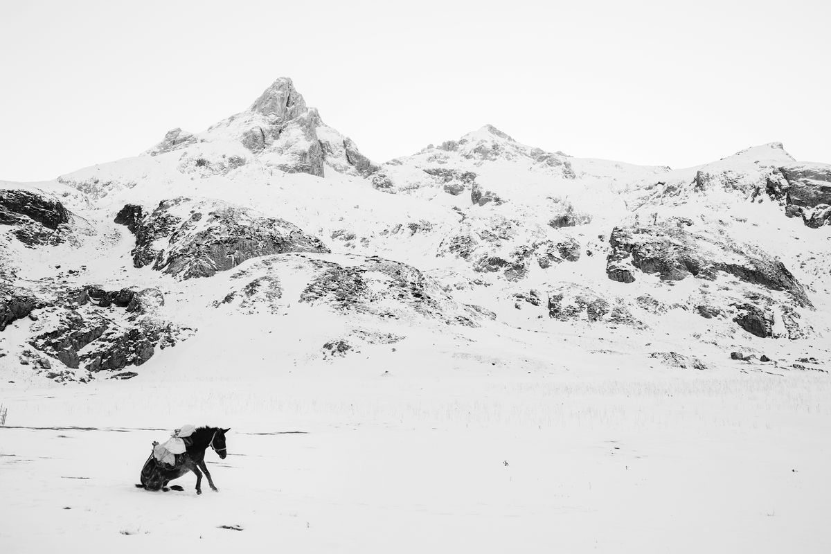 Photographer of the Year &ndash; Frederik Buyckx, Belgium