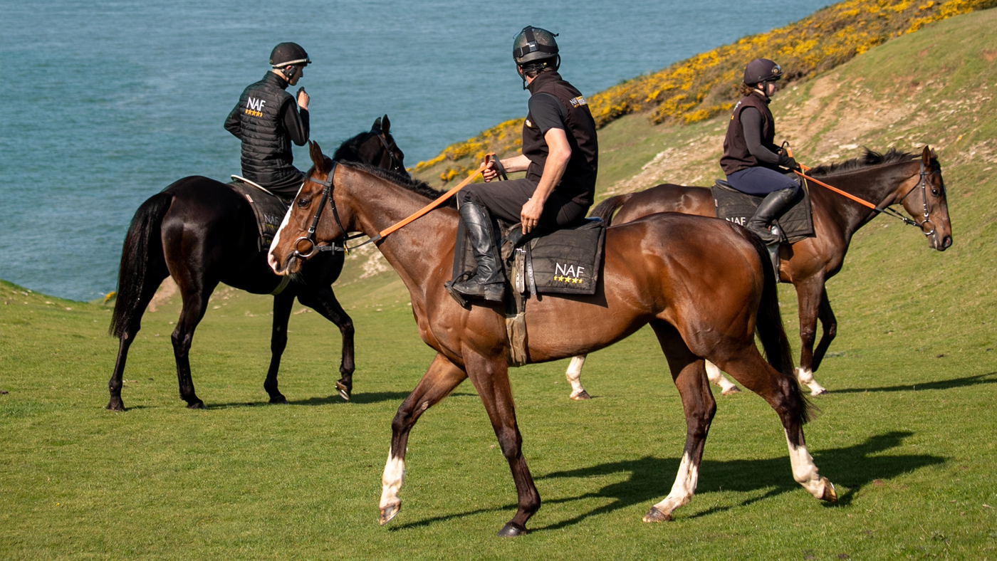 NAF-_-May-4-_Horse-on-a-cliff