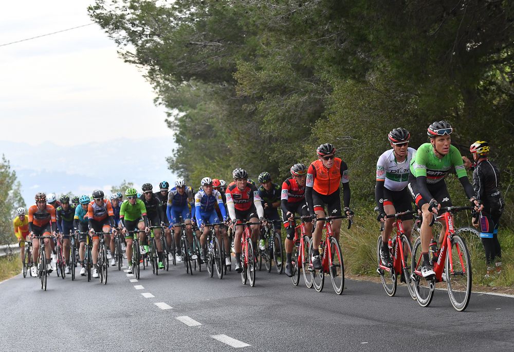 The peloton in action during stage 2 in Valencia
