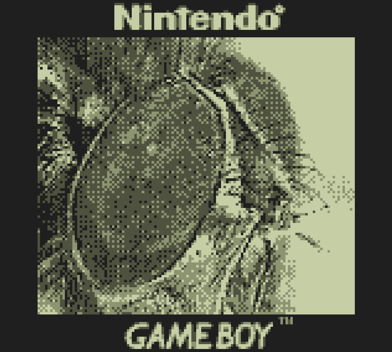 This Game Boy Camera can shoot photos of the moon