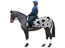 IV_horse_rug.jpg