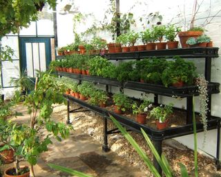 Alitex tiered shelving in greenhouse