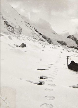 Yeti tracks in the snow on Mount Everest.