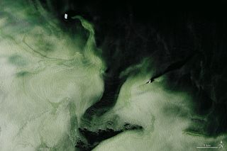 A zoomed-in patch of green ice near Antarctica's Ross Sea can be seen in this Landsat 8 image captured on March 5, 2017.