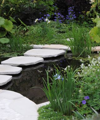 natural pond with pretty planting and stepping stone path across