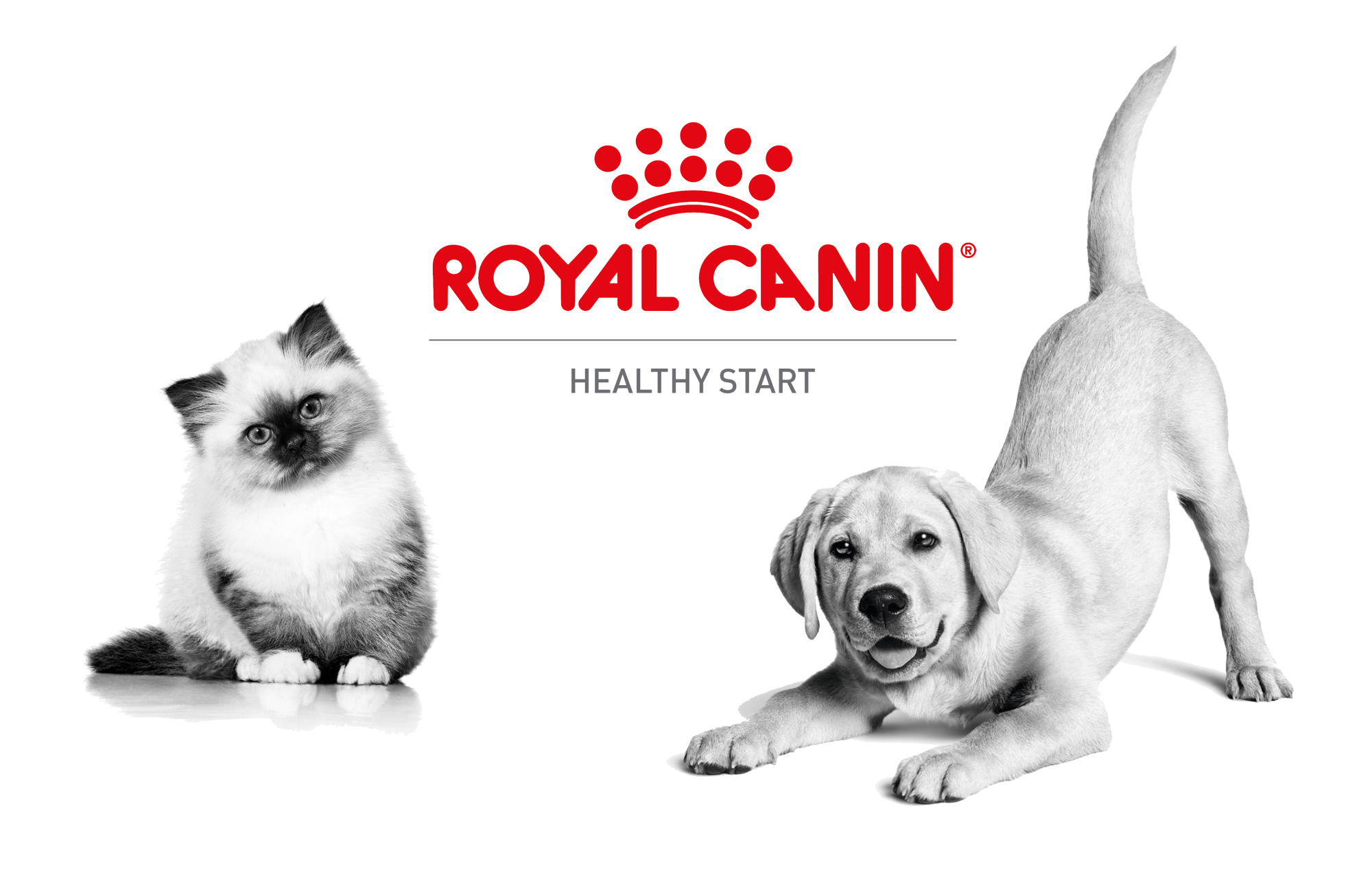 Royal Canin logo with a dog and a cat next to it.