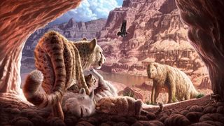 An American cheetah (Miracinonyx trumani) and her cubs crouch over the remains a Harrington's mountain goat (Oreamnos harringtoni) inside a cave in the Grand Canyon, while a Shasta ground sloth (Nothrotheriops shastensis) lumbers past and a California condor (Gymnogyps californianus) soars in the distance. Inside the cave, two Stock's vampire bats (Desmodus stocki) hang from the ceiling, and a woodrat (Neotoma) hides by the wall on the right. Ovoid structures on the cave floor are droppings left by ground sloths, based on finds in locations such as Rampart Cave.