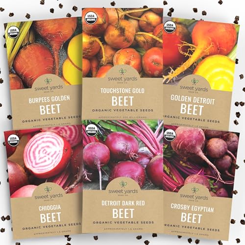 Organic Beet Seeds Variety Pack - 6 Individual Packs - 2026 Season - Detroit Red, Touchstone Gold, Crosby Egyptian and More! for Indoor &amp;amp; Outdoor Planting (non-Gmo, Certified Organic)