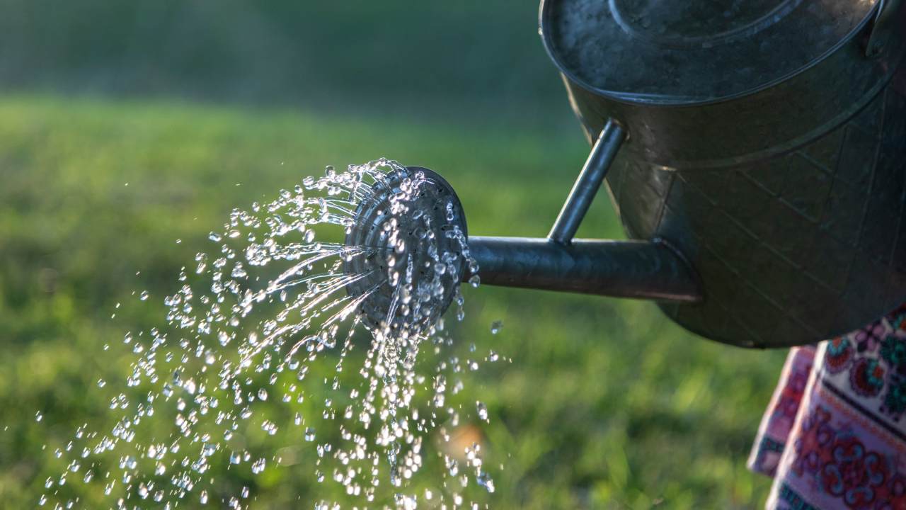 A watering can