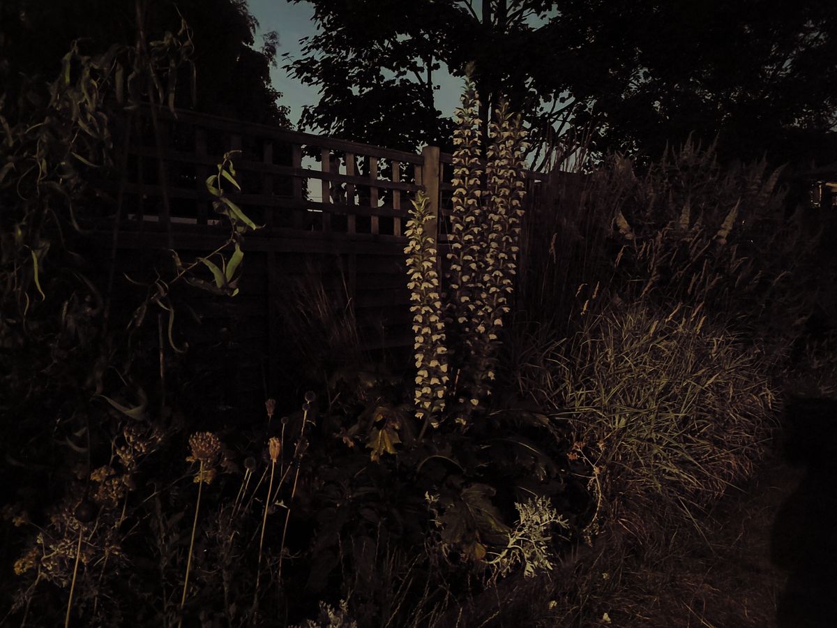 Nothing Phone 1 camera sample main extreme low light night mode