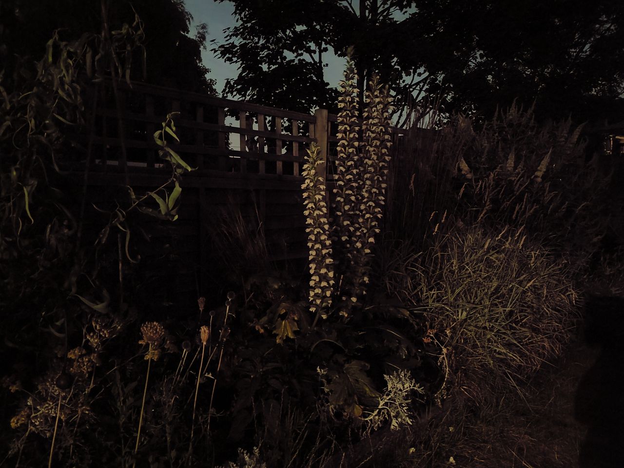 Nothing Phone 1 camera sample main extreme low light night mode