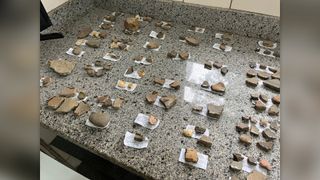 Curation of ceramic fragments.