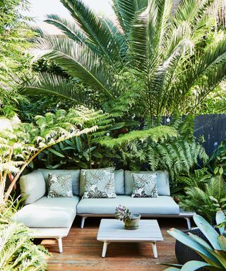 Tropical foliage behind seating