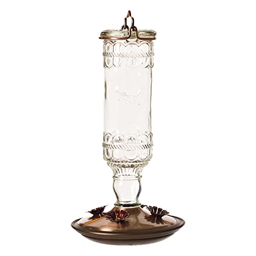 Perky-Pet Antique Glass Bottle Hummingbird Feeder - Outdoor Garden D&amp;eacute;cor Hummingbird Feeder - 8107-1sr - 10 Fl Oz Nectar Capacity - Durable Humming Bird Feeder for Backyards, Porches, Decks, Hooks