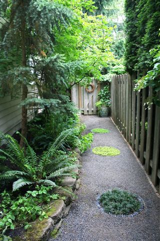 A suburban side yard with gravel and shade planting