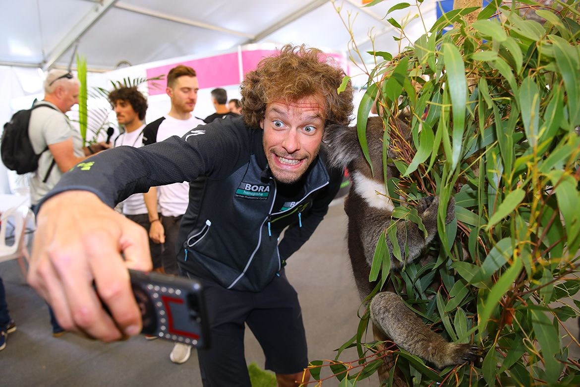 A koala selfie for Daniel Oss.