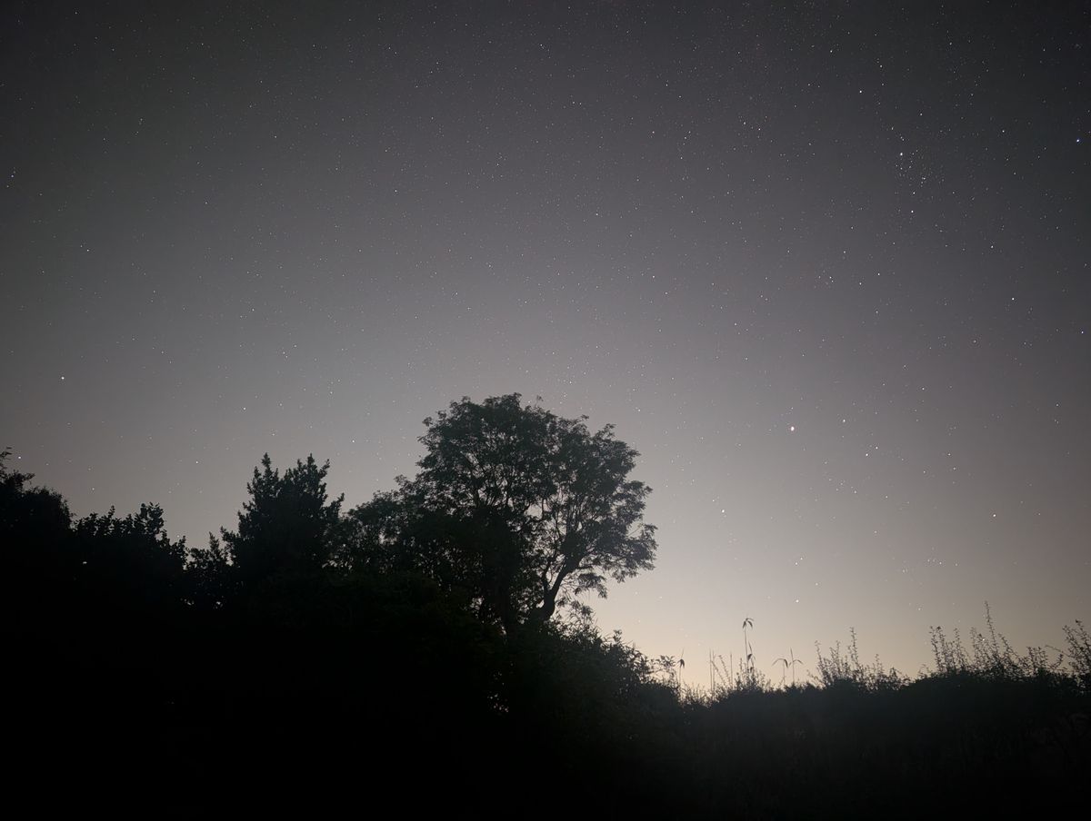 Meteor and plane trails across a clear night sky during the Perseid Meteor Shower 2026, framed by tree silhouettes and the horizon