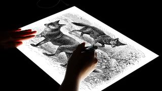 The best lightboxes for tracing and drawing; a person draws wolves using a lightbox