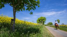 alamy-J58RK6_251912581_388587292.jpg