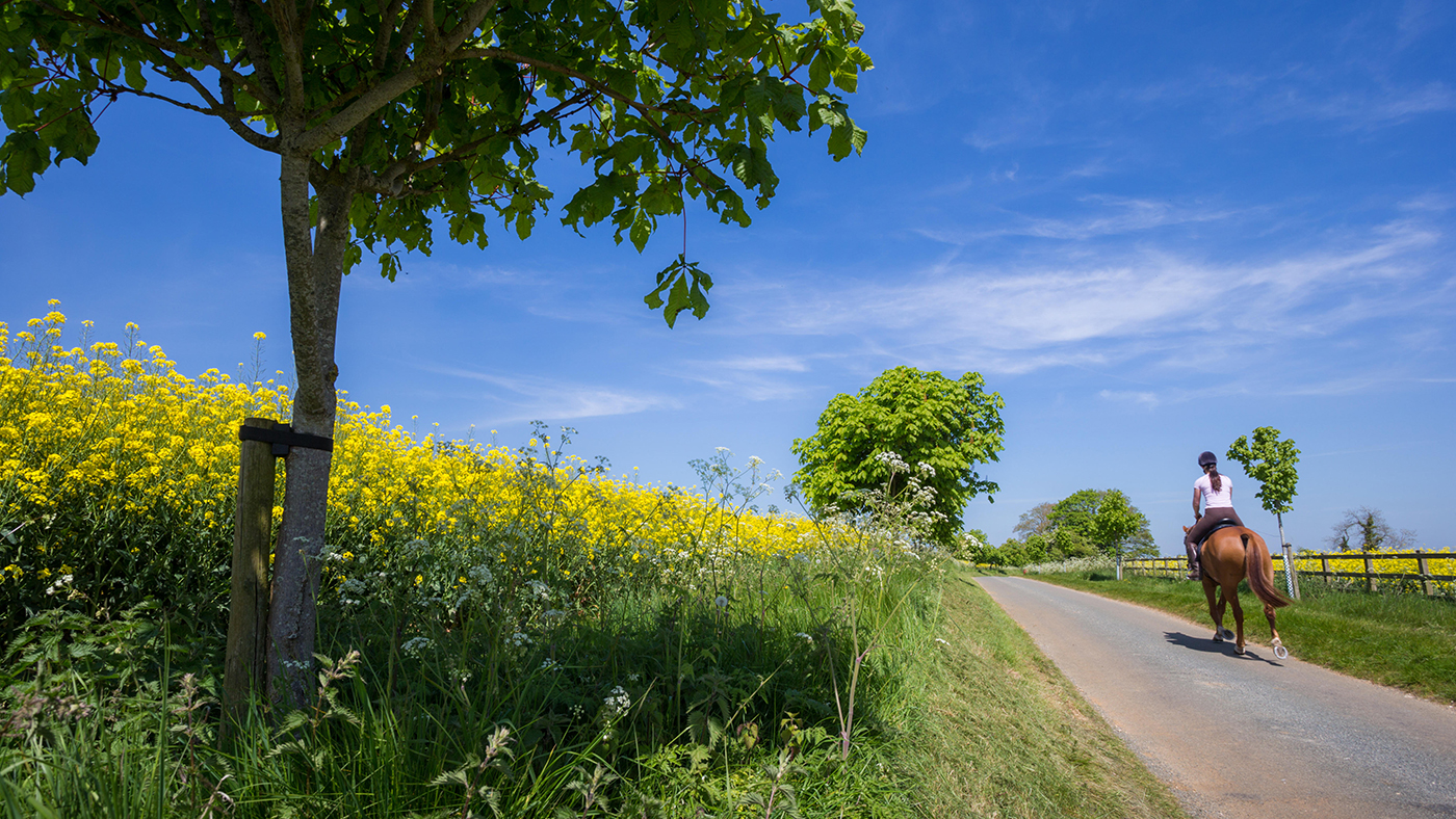 alamy-J58RK6_251912581_388587292.jpg