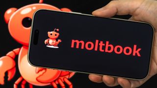 1.6 million AI bots are on Moltbook &mdash; here's how to join as a human