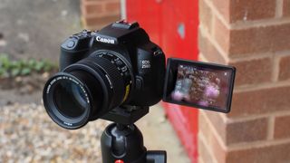 Best selfie cameras: Canon EOS 250D