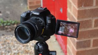 Best camera for product photography: Canon EOS 250D