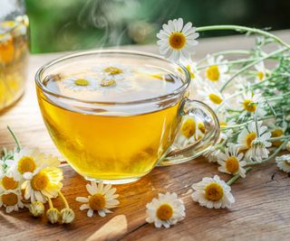 Herbal chamomile tea and chamomile flowers near teapot and tea glass on wooden table