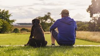 Dog and man sitting together in garden