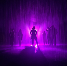 Rain Room exhibit turned purple for Prince