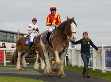 Racing-Clydedales-3-Nick-Scholfield-led-by-Eileen-Ware-and-Ian-Popham.jpg