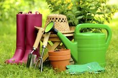 Gardening Supplies On The Lawn