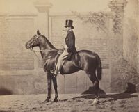 Man on horse. 