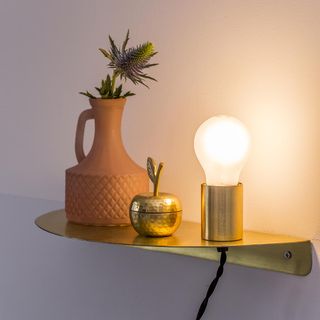 room with light pink wall golden wall shelves and plant in vase
