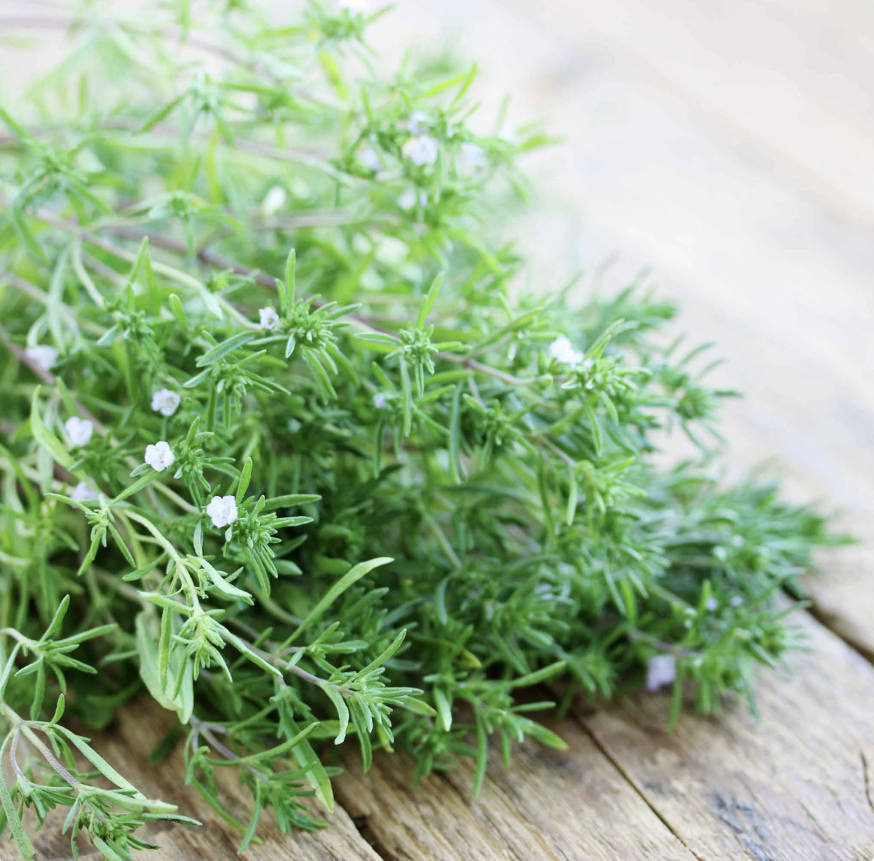 Summer savory sprigs on a wooden table