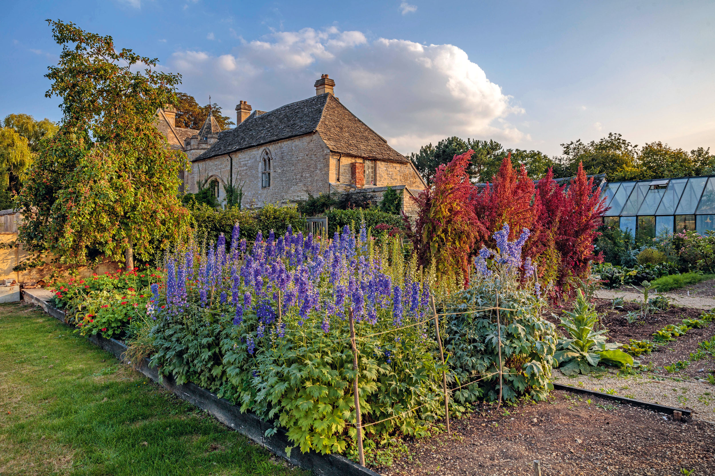 Ham Court's garden
