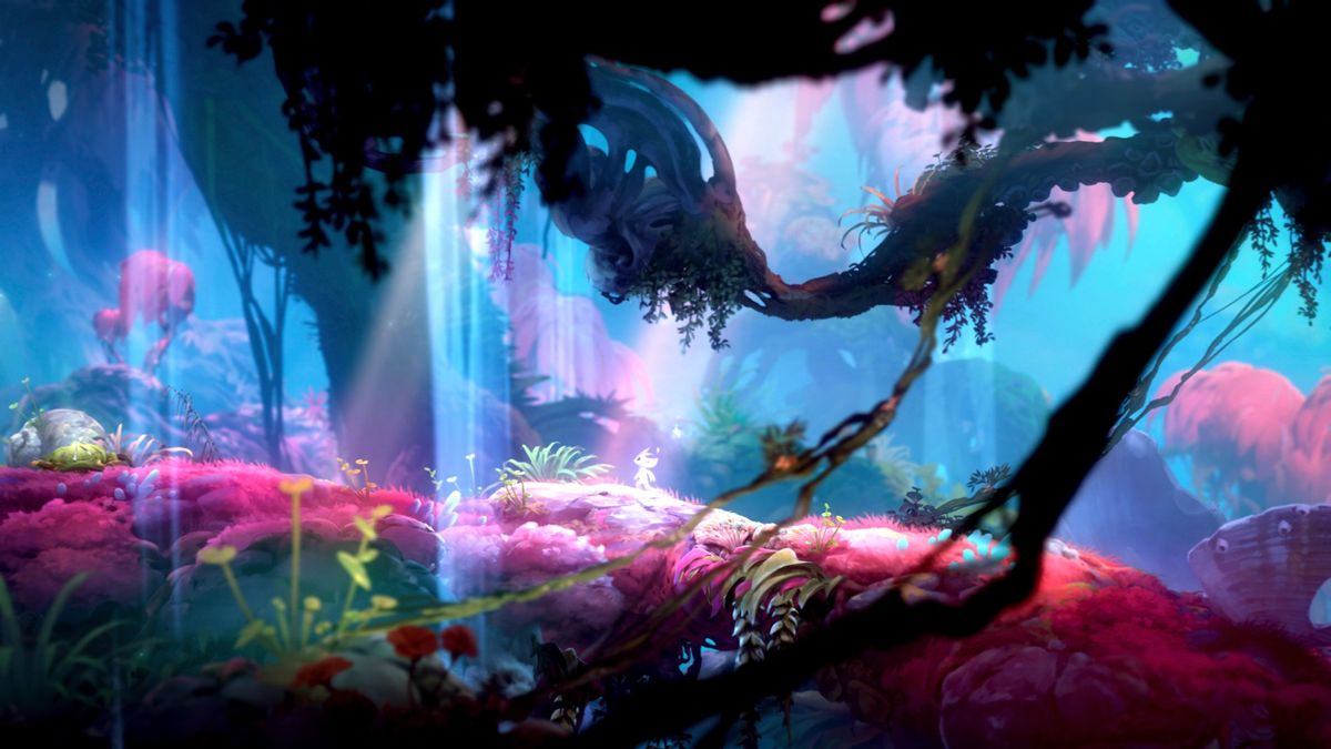 Ori And The Will Of The Wisps Luma Pools