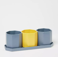 Set of 3 Multicoloured Octagon Planters with a Tray | £20 now £16 at Debenhams (save £4)