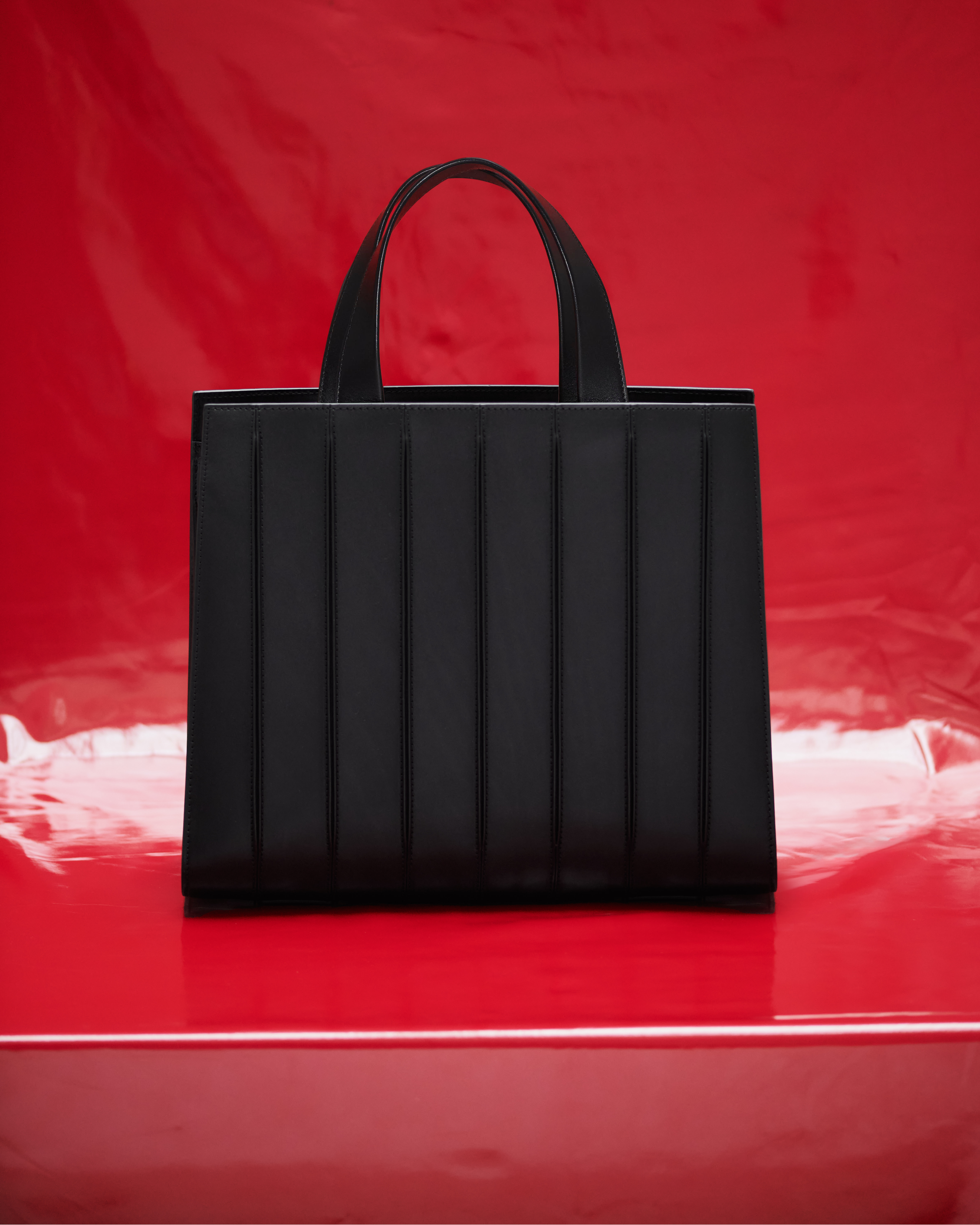 Renzo Piano Max Mara Whitney Bag 10th Anniversary