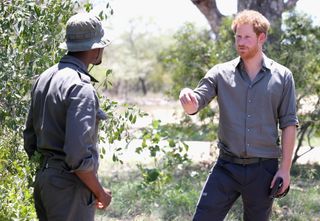 Prince Harry in Africa in 2015